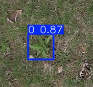 Annotated Image